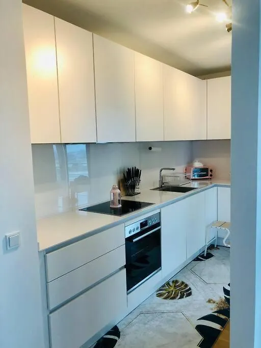 アパート デュッセルドルフLux 2Bd W/ Rooftop Terrace And Rhine Views!アパートメント